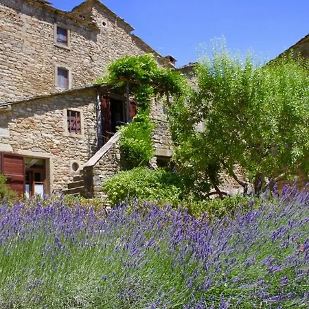 Village Heights